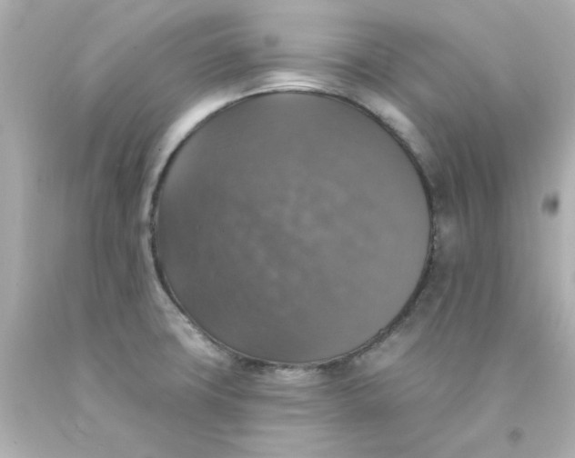 X0000093131427200710241314