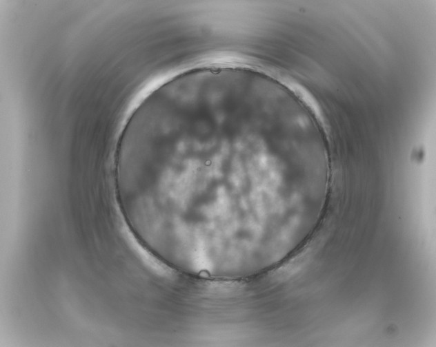 X0000093131429200710241314