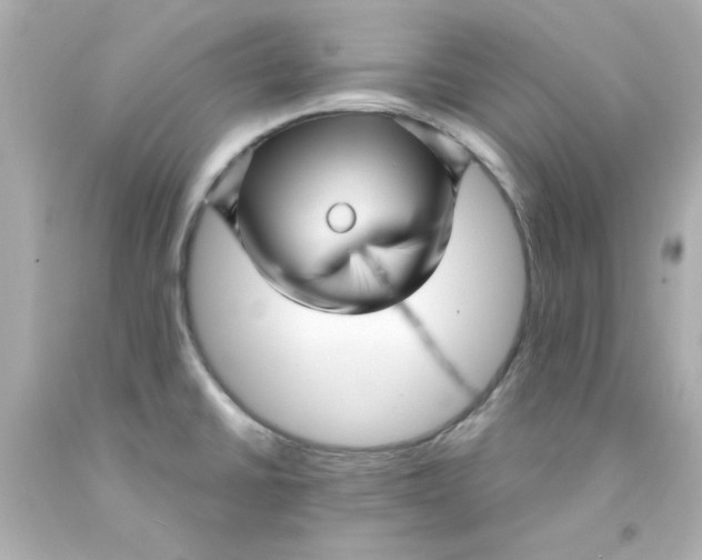 X0000093131430200710241314