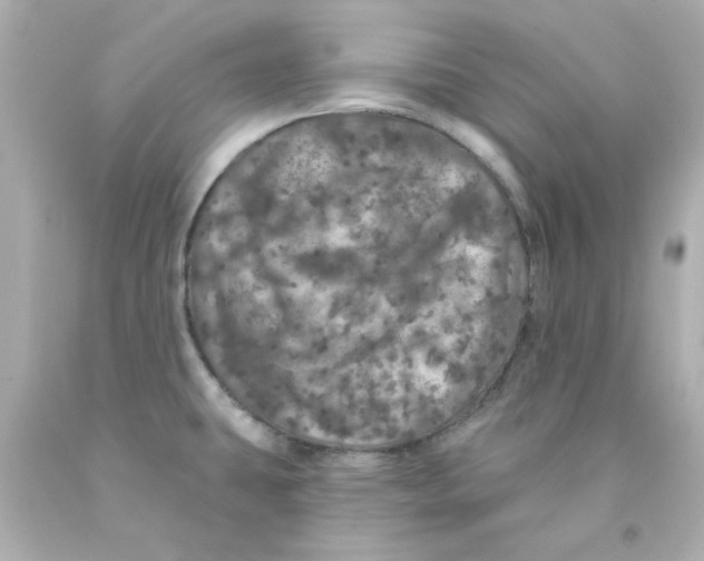 X0000093131431200710241314