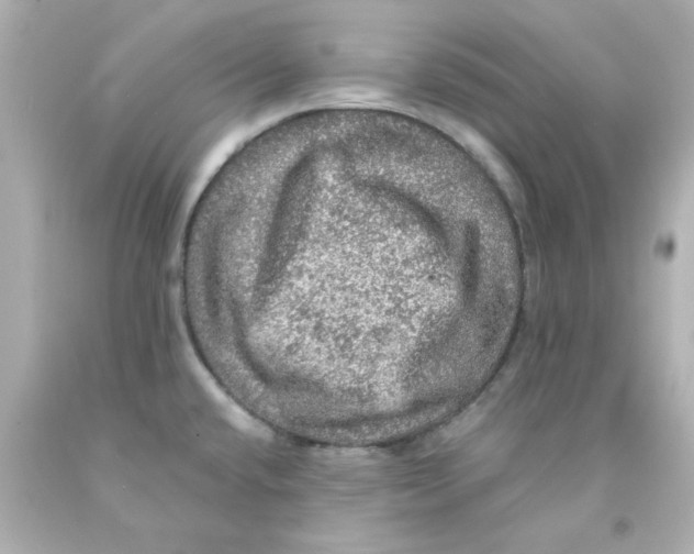 X0000093131432200710241314