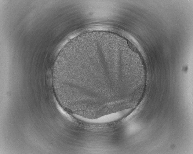 X0000093131433200710241314