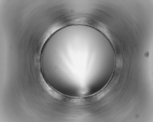 X0000093131434200710241314