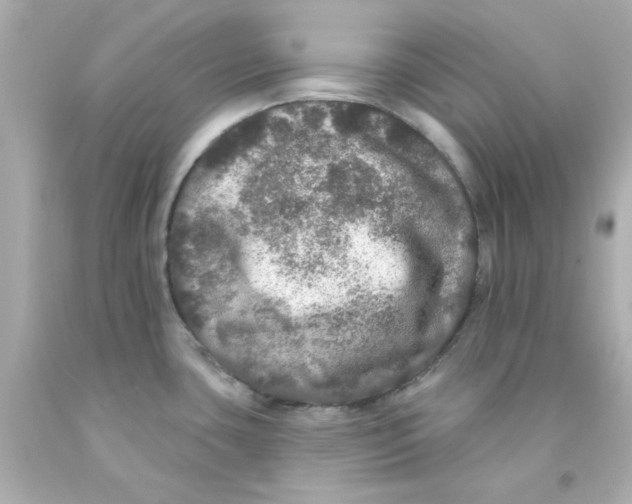 X0000093131435200710241314