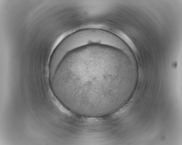 X0000093131436200710241314