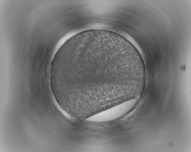 X0000093131437200710241314