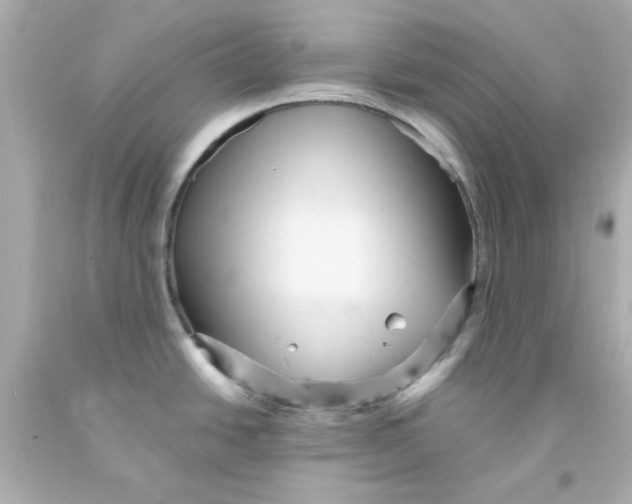 X0000093131438200710241314