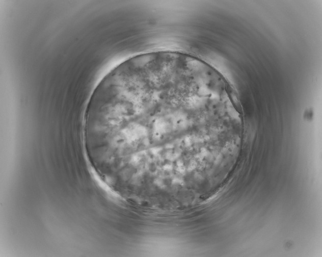 X0000093131439200710241314