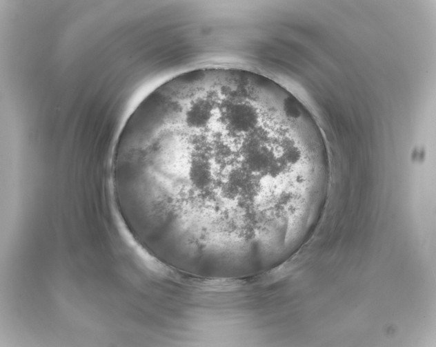 X0000093131440200710241314