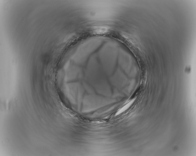 X0000093131441200710241313