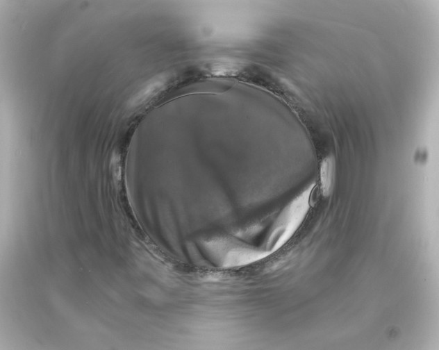 X0000093131443200710241313