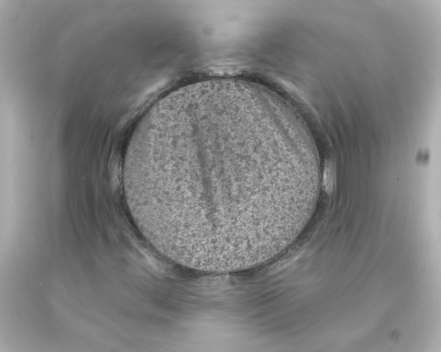X0000093131444200710241313