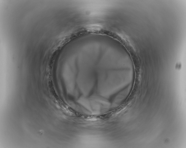 X0000093131445200710241313