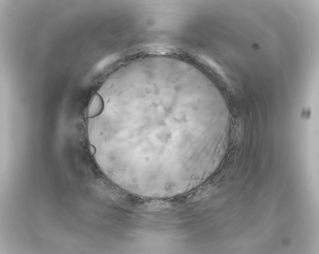 X0000093131446200710241313
