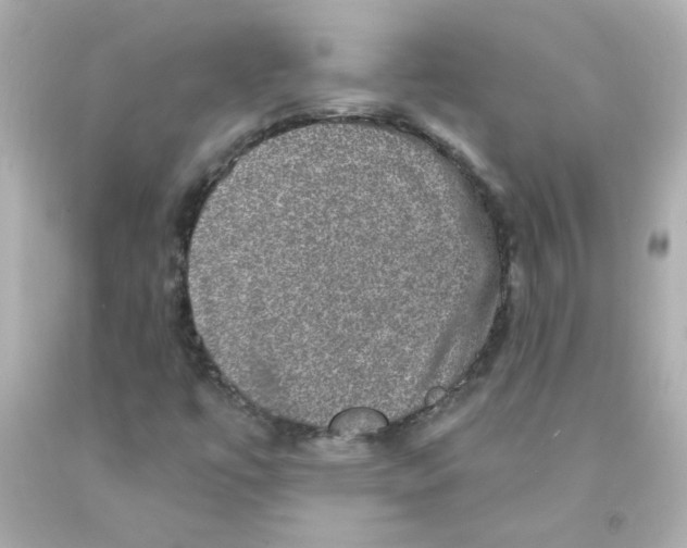 X0000093131447200710241313