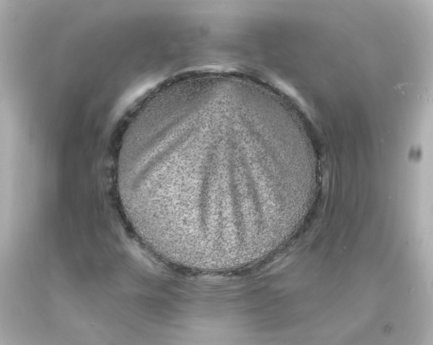 X0000093131448200710241313