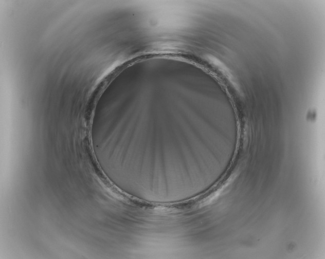 X0000093131449200710241313