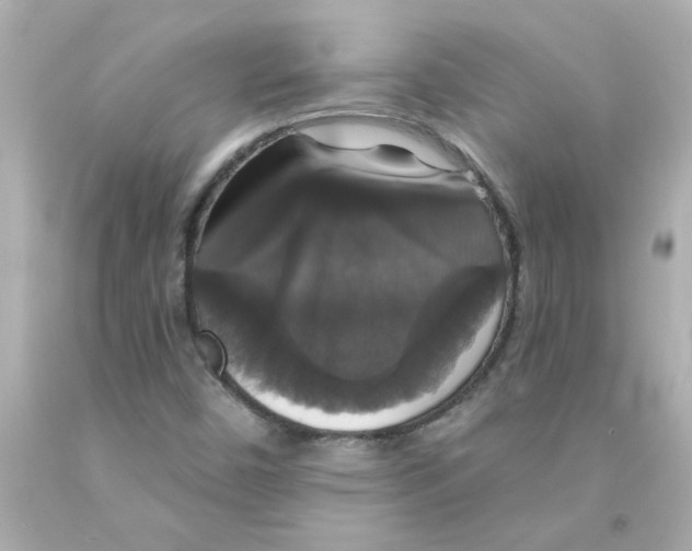 X0000093131450200710241313
