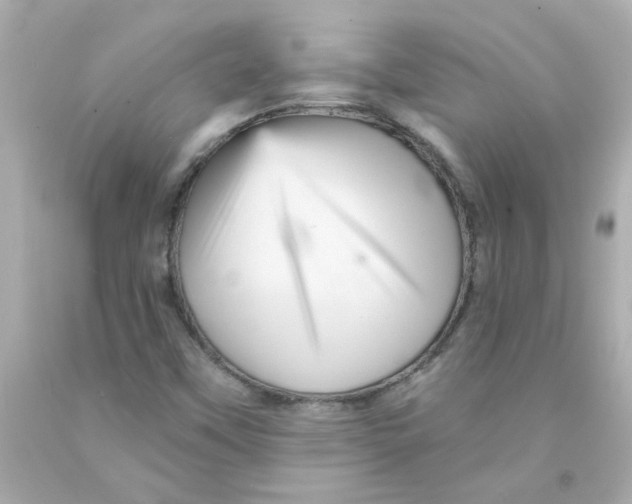 X0000093131451200710241313