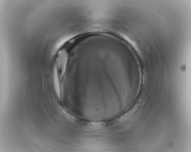 X0000093131453200710241313