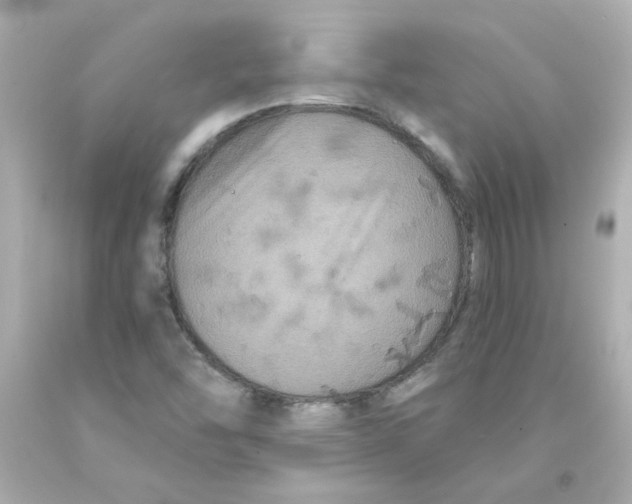 X0000093131454200710241313