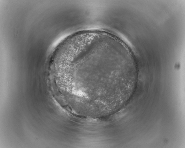 X0000093131456200710241313