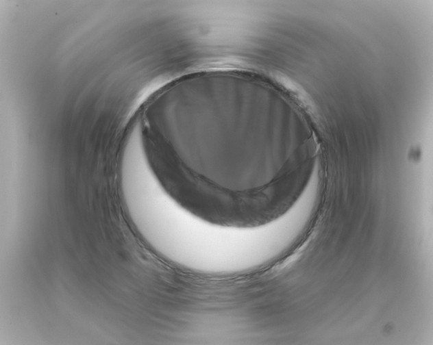 X0000093131457200710241313