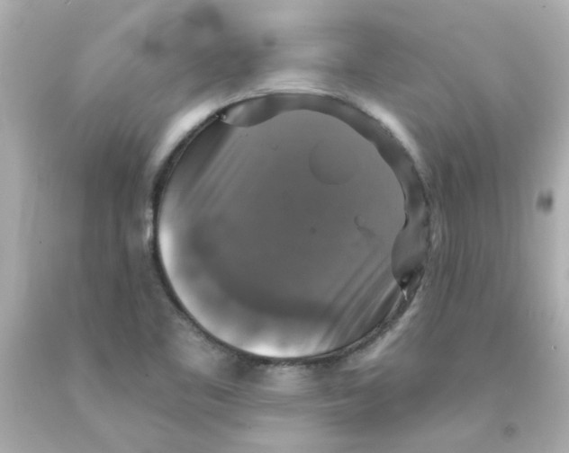 X0000093131461200710241313
