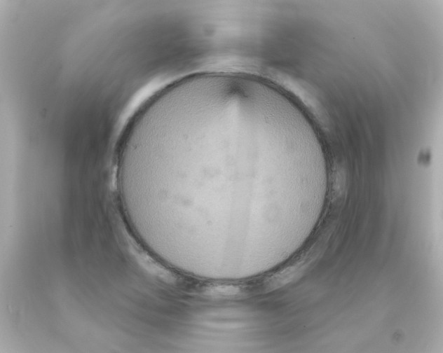 X0000093131462200710241313