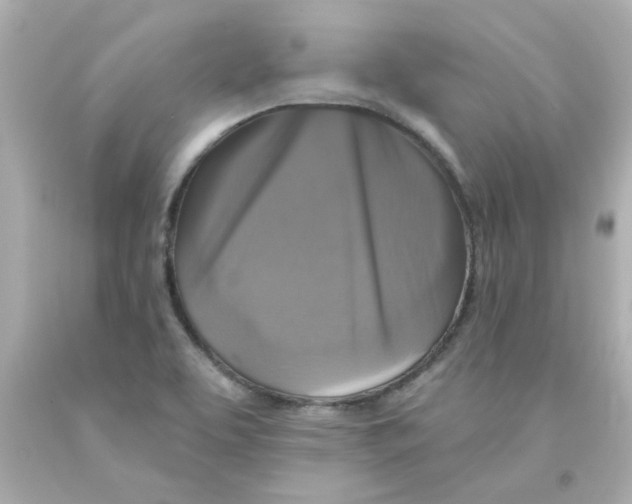 X0000093131463200710241313