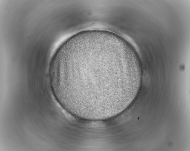 X0000093131464200710241313