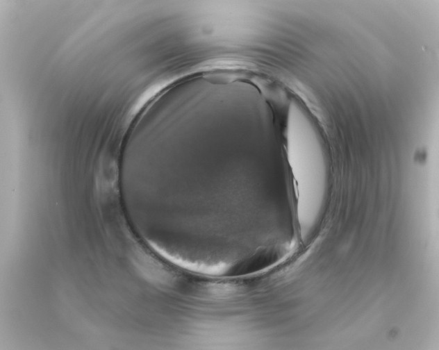 X0000093131465200710241313