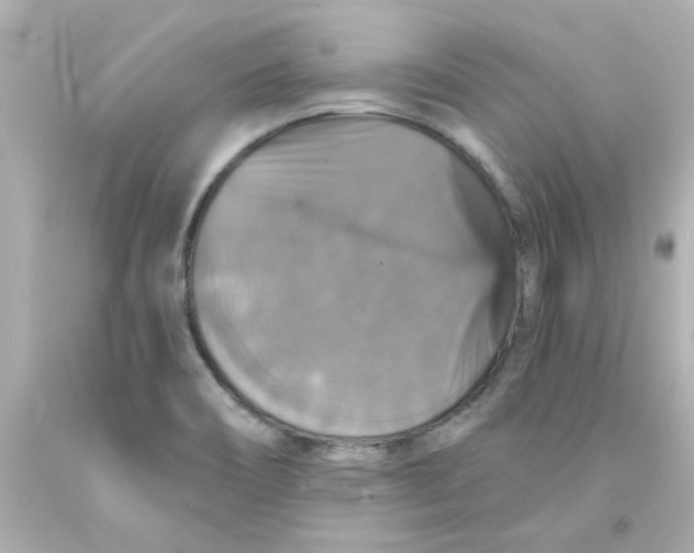 X0000093131466200710241313