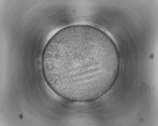 X0000093131468200710241313