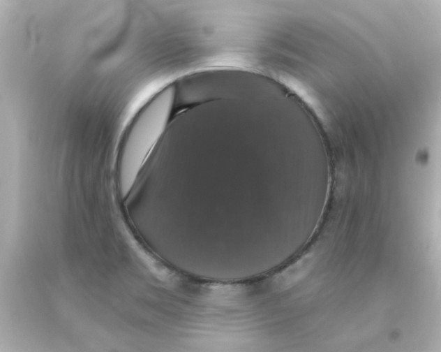 X0000093131469200710241313