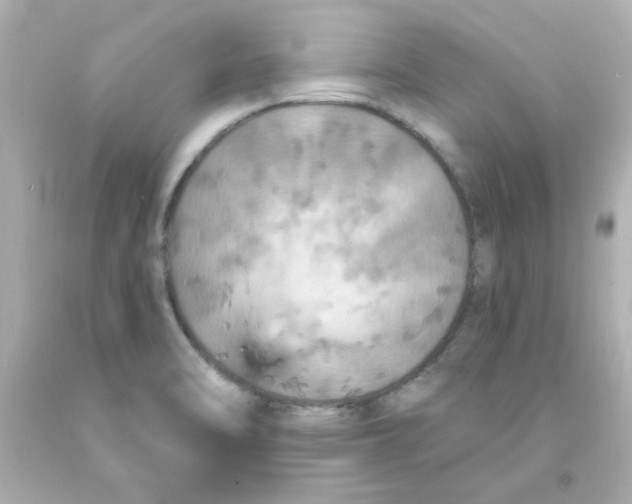 X0000093131470200710241313