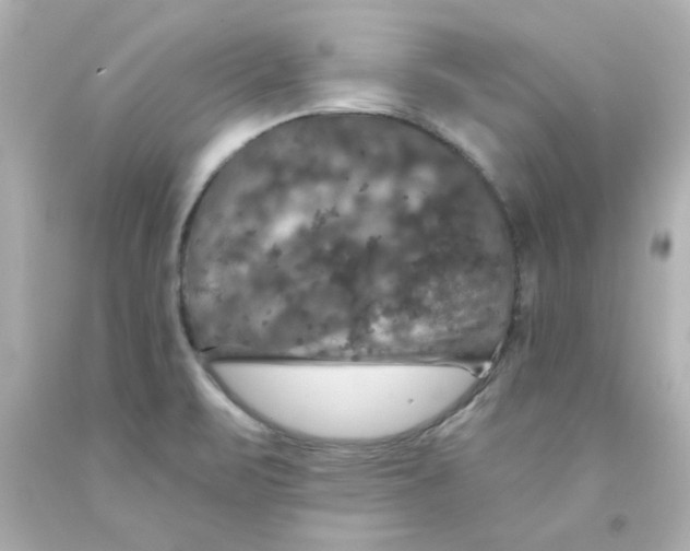 X0000093131471200710241313