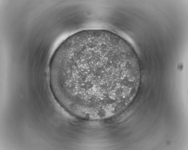 X0000093131472200710241313
