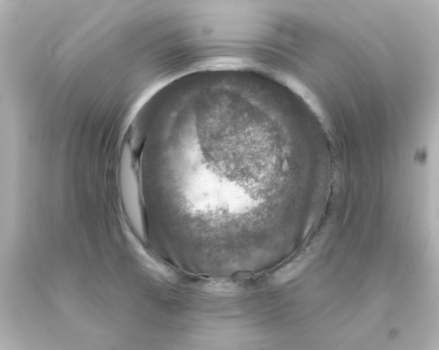 X0000093131473200710241313