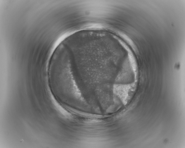 X0000093131475200710241313