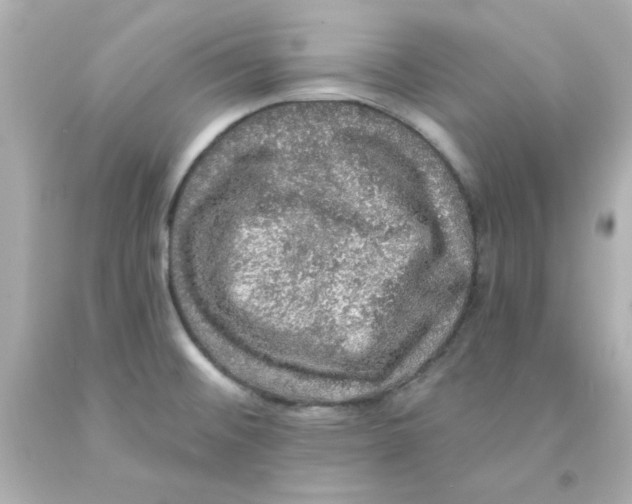 X0000093131476200710241313