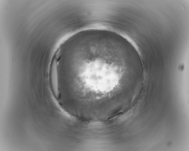 X0000093131477200710241313