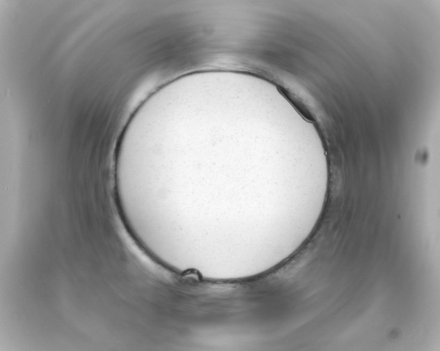 X0000093131479200710241313