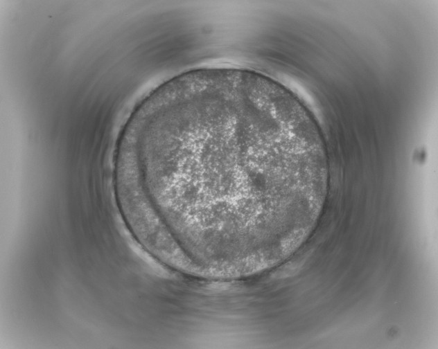X0000093131480200710241313