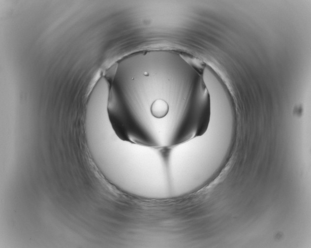X0000093131481200710241313