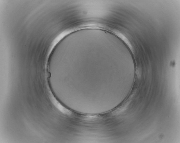 X0000093131482200710241313