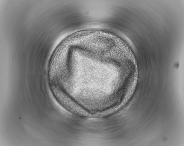 X0000093131483200710241313