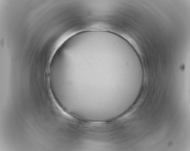 X0000093131486200710241313