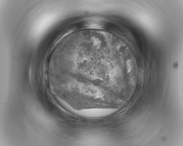 X0000093131487200710241313
