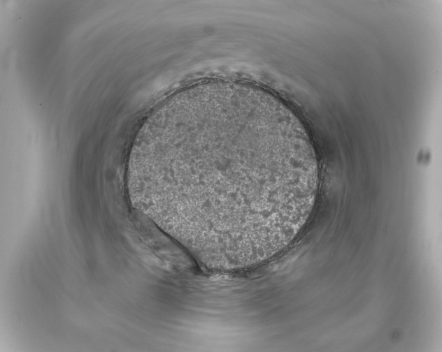 X0000093131489200710241312